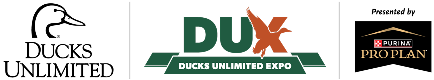 Ducks Expo Logo